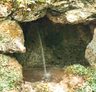 Blütenessenz QUELLWASSER (Rock Water)